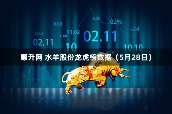 顺升网 水羊股份龙虎榜数据（5月28日）
