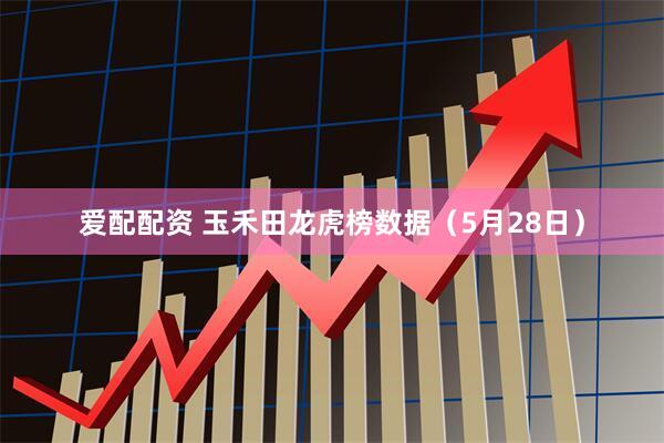 爱配配资 玉禾田龙虎榜数据（5月28日）