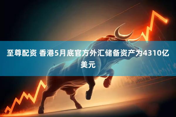 至尊配资 香港5月底官方外汇储备资产为4310亿美元