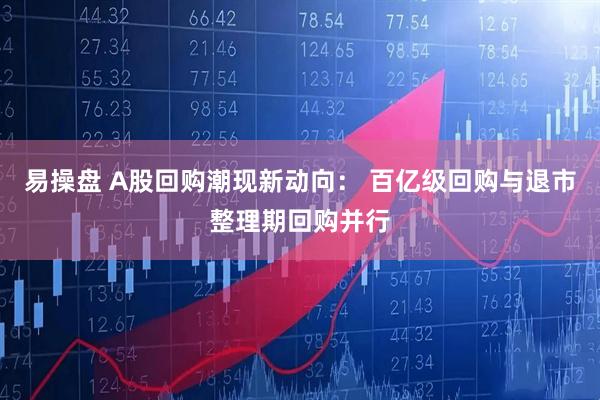 易操盘 A股回购潮现新动向： 百亿级回购与退市整理期回购并行