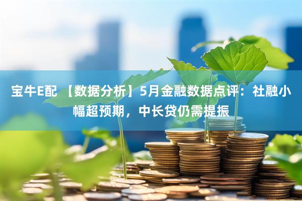 宝牛E配 【数据分析】5月金融数据点评：社融小幅超预期，中长贷仍需提振