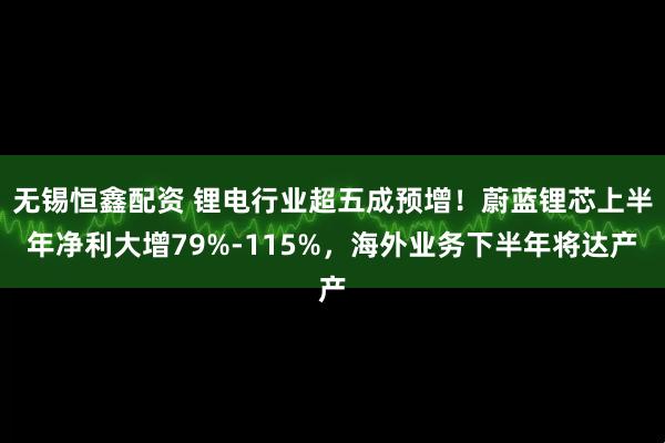 无锡恒鑫配资 锂电行业超五成预增！蔚蓝锂芯上半年净利大增79%-115%，海外业务下半年将达产