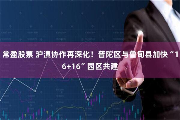 常盈股票 沪滇协作再深化！普陀区与鲁甸县加快“16+16”园区共建