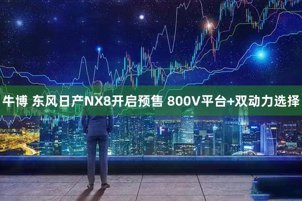 牛博 东风日产NX8开启预售 800V平台+双动力选择